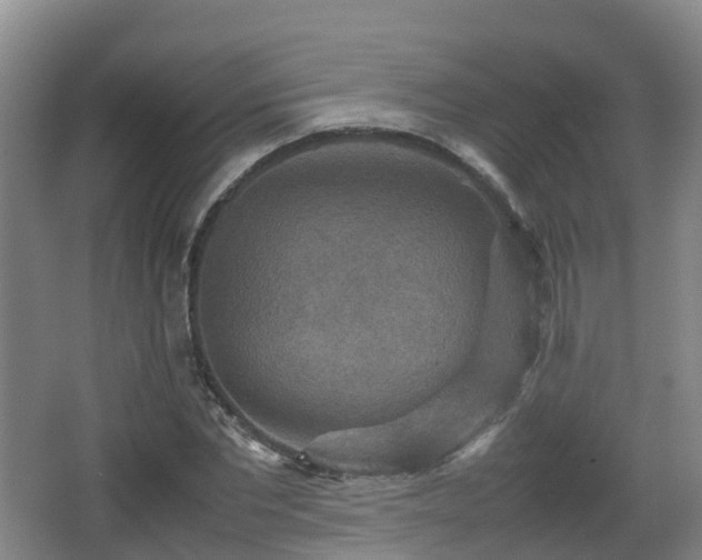 X0000067890877200604171334