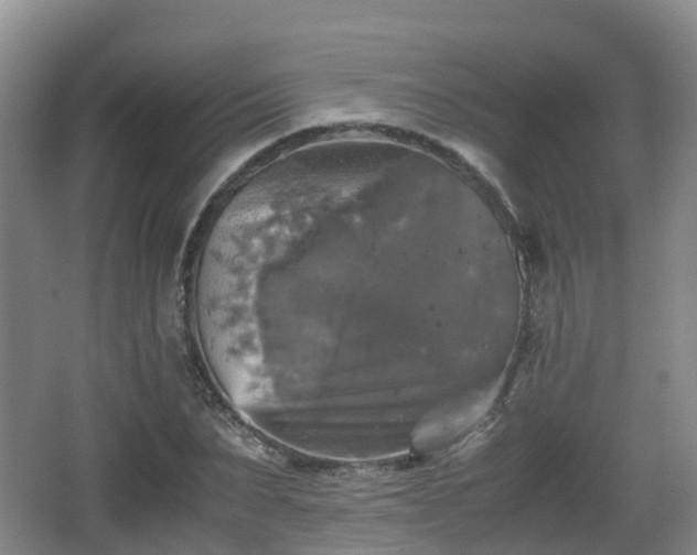 X0000067890879200604171334