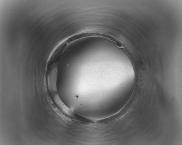 X0000067890880200604171334