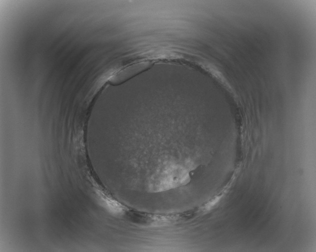 X0000067890881200604171334