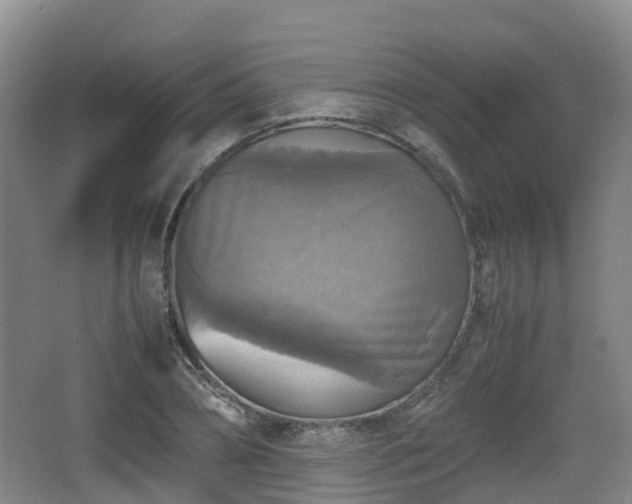 X0000067890882200604171334