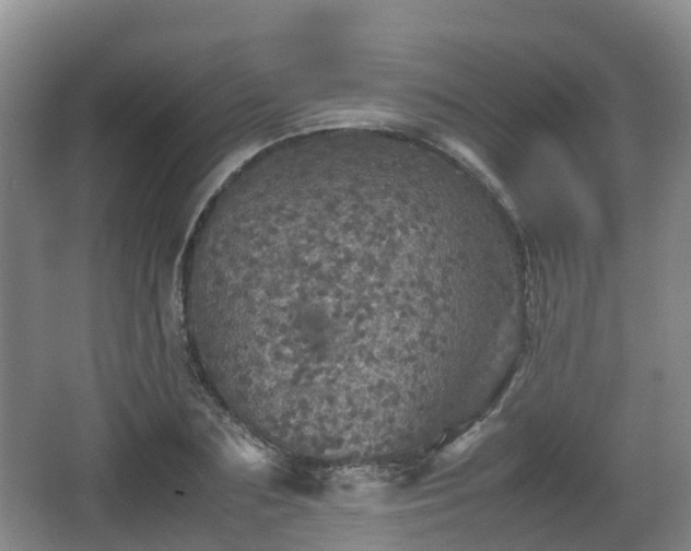 X0000067890883200604171334