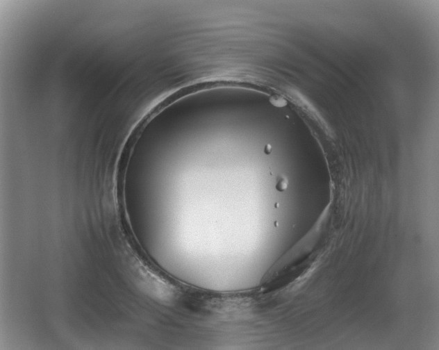 X0000067890884200604171334