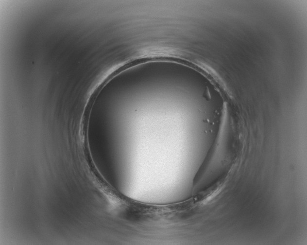 X0000067890885200604171334