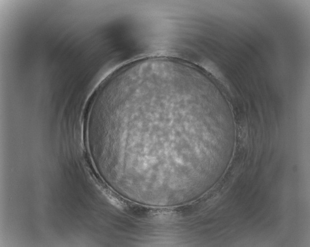 X0000067890886200604171334