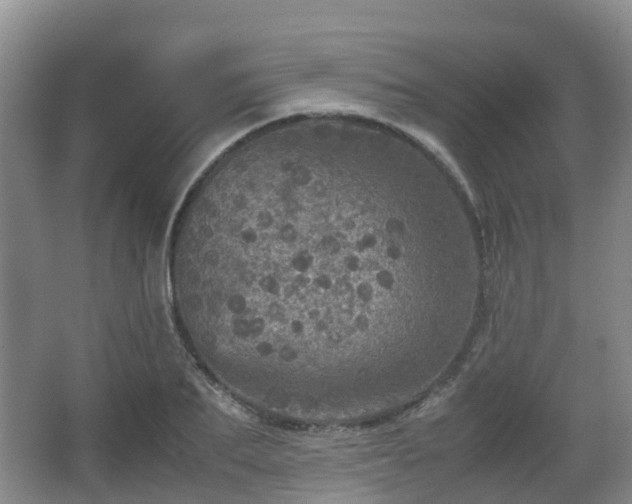 X0000067890887200604171334