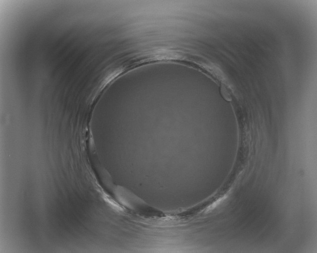 X0000067890889200604171334