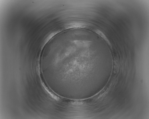 X0000067890890200604171334