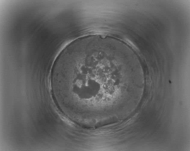 X0000067890891200604171334