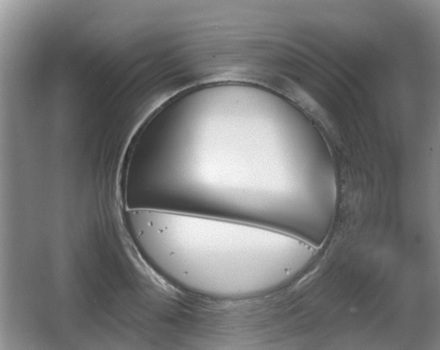 X0000067890892200604171334