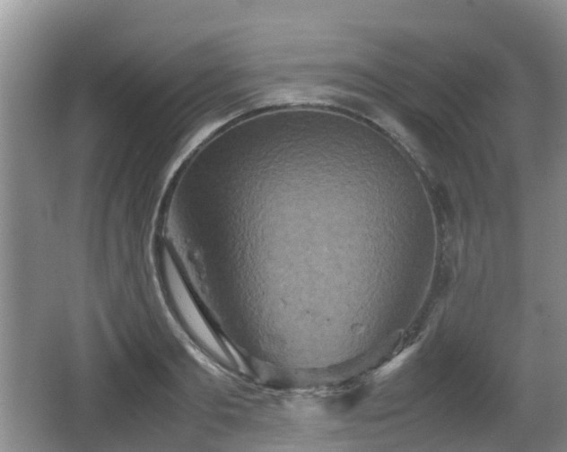 X0000067890893200604171334