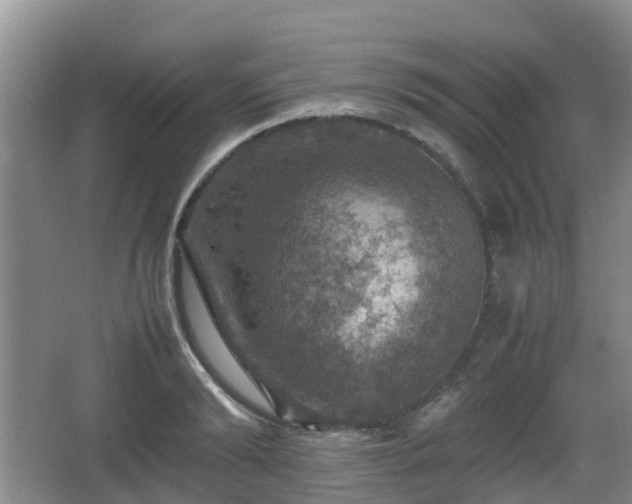 X0000067890894200604171334