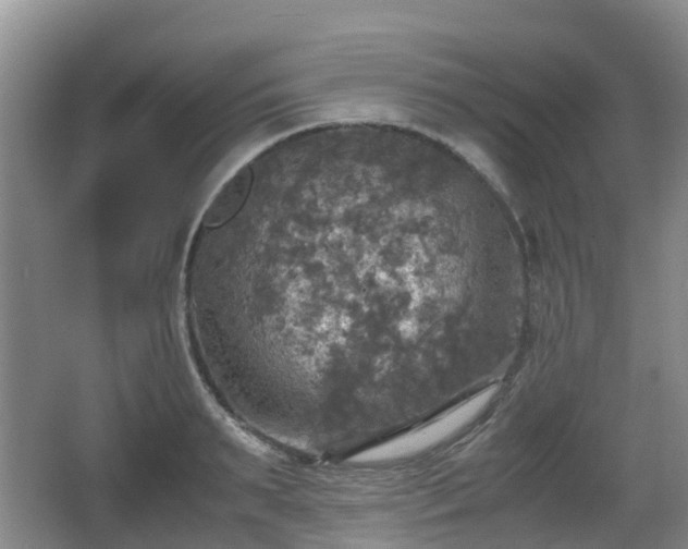 X0000067890895200604171334