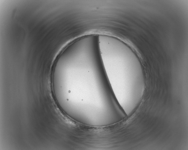 X0000067890896200604171334