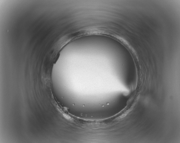 X0000067890897200604171334