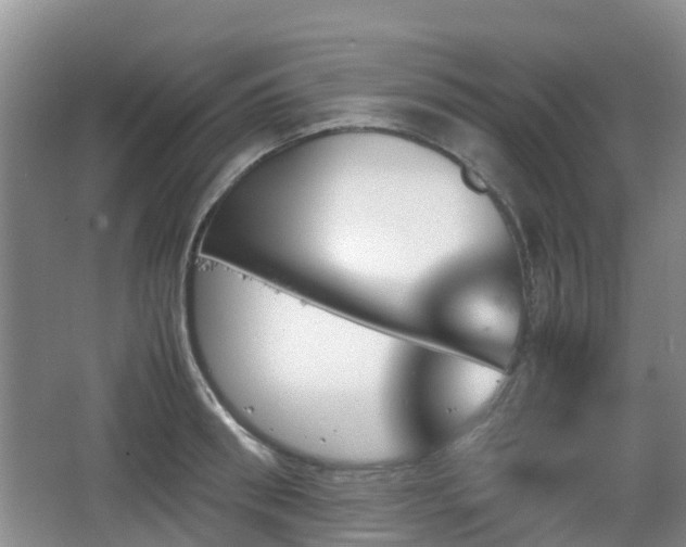 X0000067890898200604171334