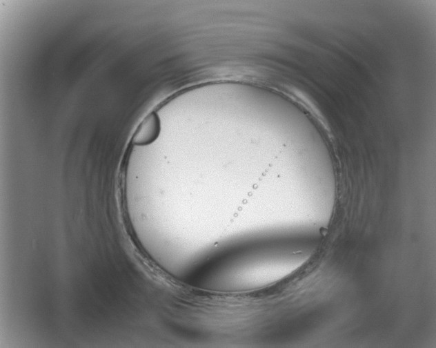 X0000067890899200604171334