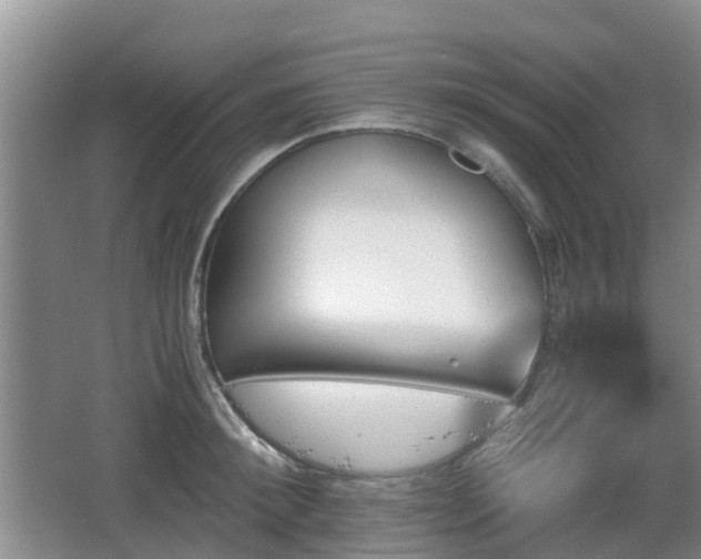 X0000067890900200604171334