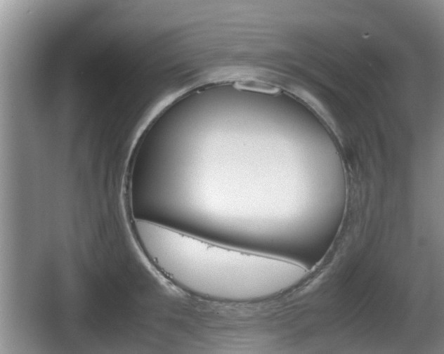 X0000067890901200604171334