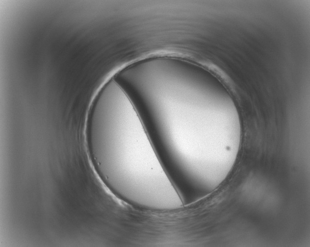 X0000067890902200604171334