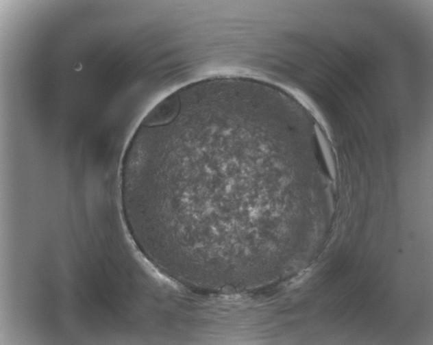 X0000067890903200604171334