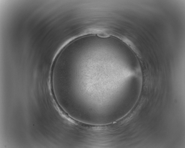 X0000067890904200604171334