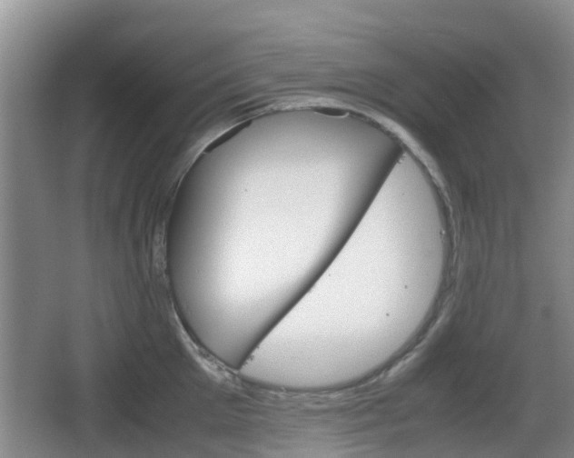 X0000067890905200604171334