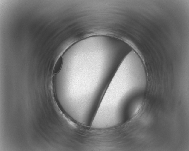 X0000067890906200604171334