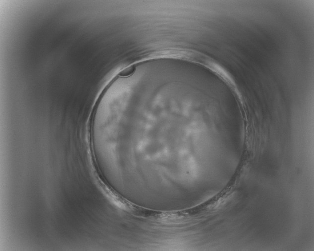 X0000067890907200604171334