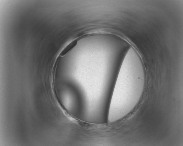 X0000067890909200604171334