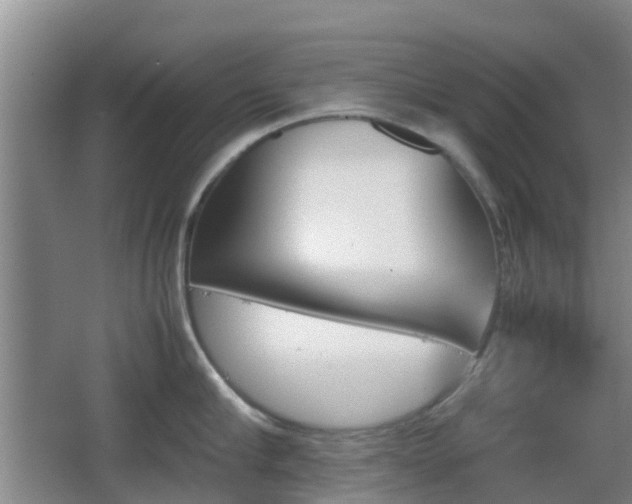 X0000067890910200604171334