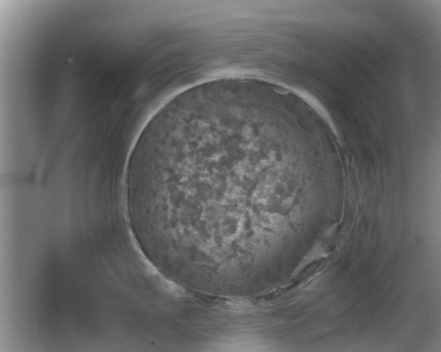 X0000067890911200604171334