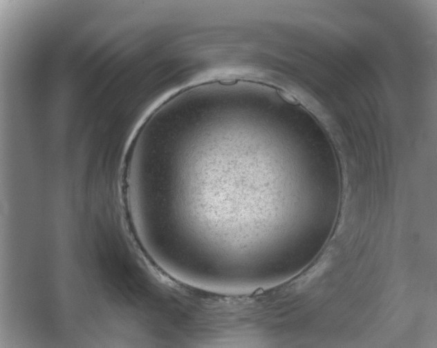 X0000067890912200604171334