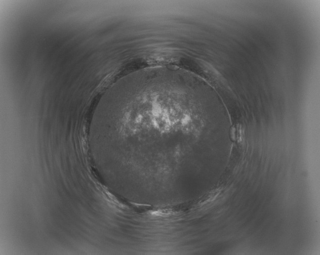 X0000067890915200604171333