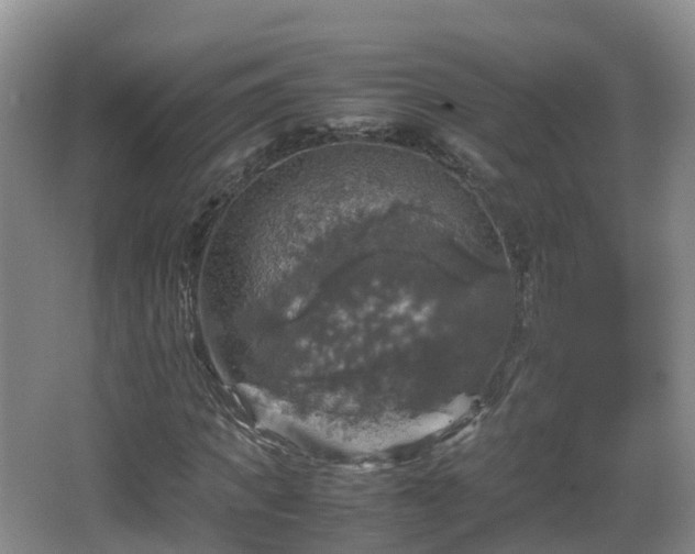 X0000067890917200604171333