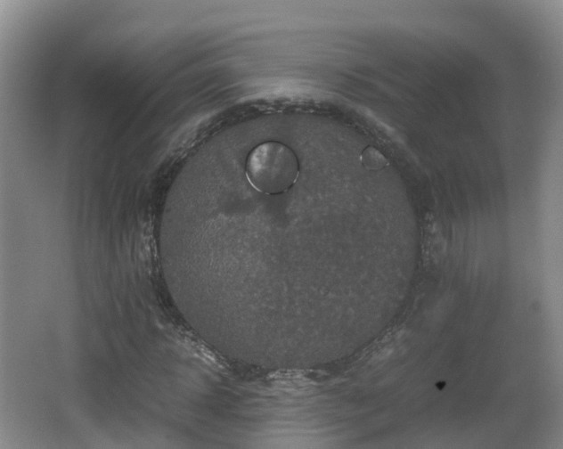 X0000067890918200604171333