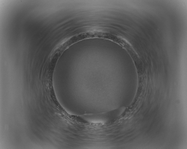 X0000067890919200604171333