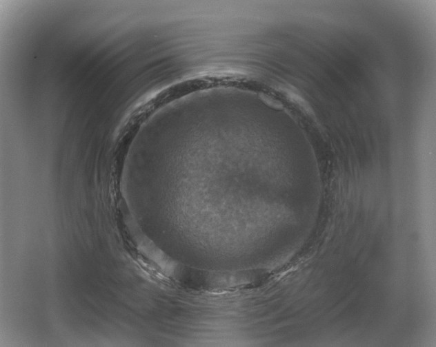 X0000067890920200604171333