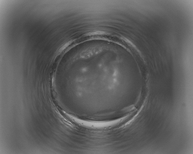 X0000067890921200604171333