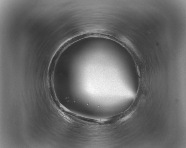 X0000067890924200604171333