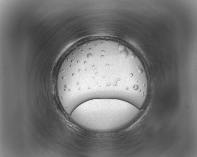 X0000067890925200604171333