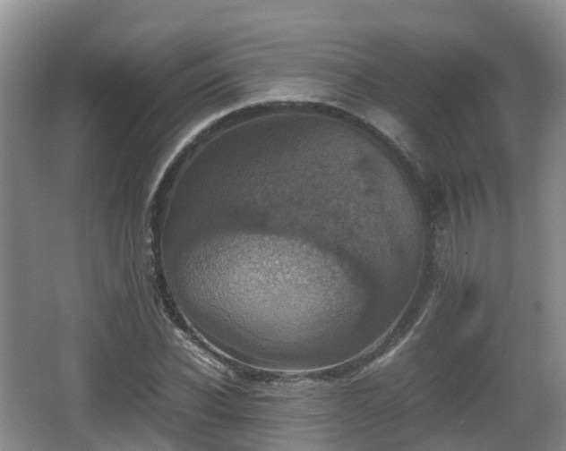 X0000067890926200604171333