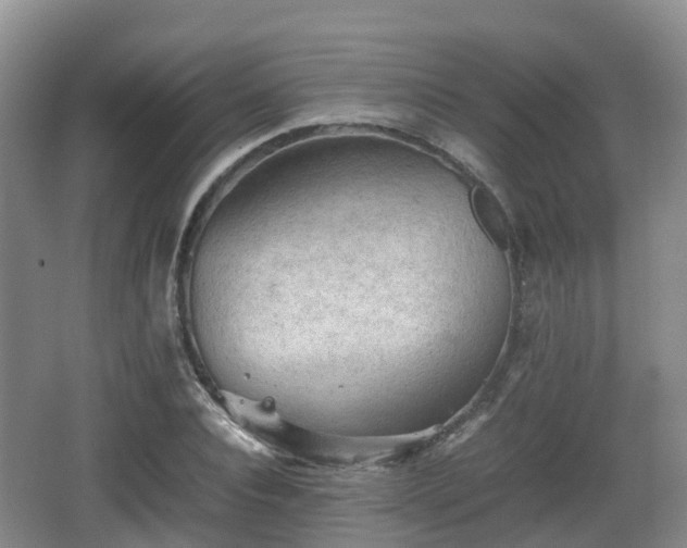 X0000067890928200604171333