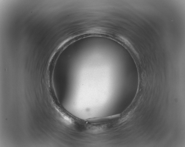 X0000067890931200604171333