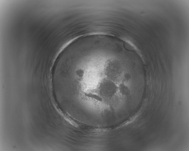 X0000067890933200604171333