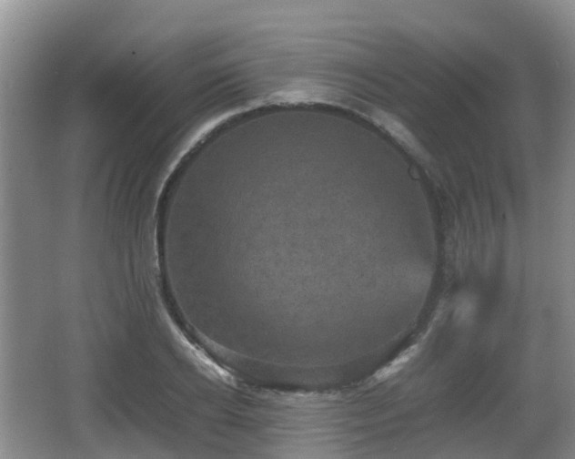 X0000067890934200604171333