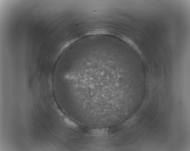 X0000067890937200604171333