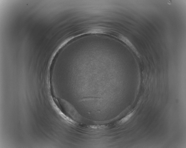 X0000067890939200604171333