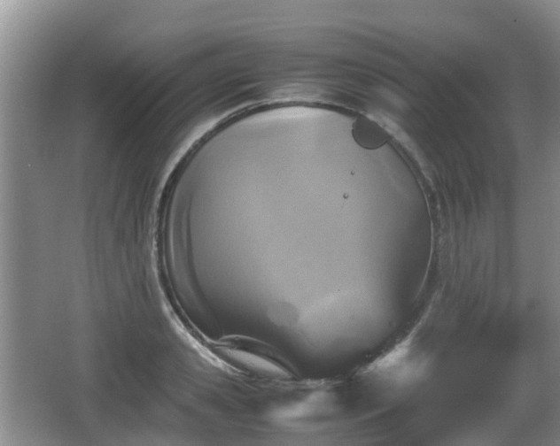 X0000067890941200604171333