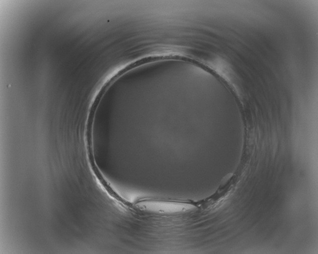 X0000067890943200604171333